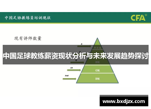 中国足球教练薪资现状分析与未来发展趋势探讨