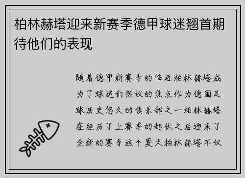 柏林赫塔迎来新赛季德甲球迷翘首期待他们的表现